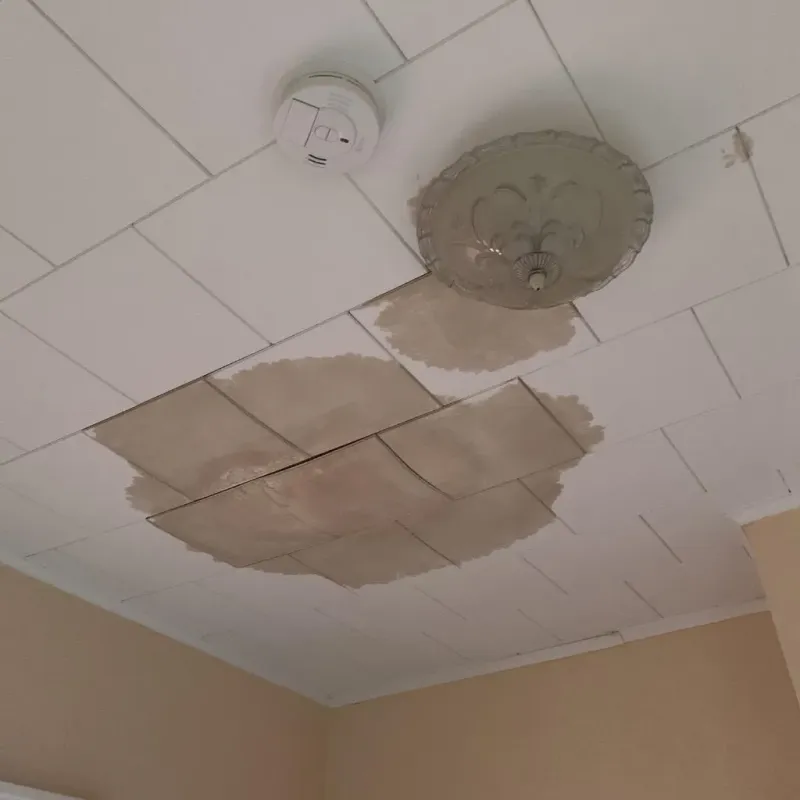 Ceiling Water Damage Repair in Iowa, LA