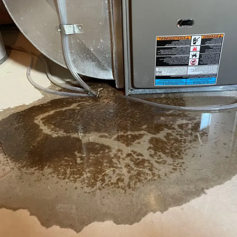 Pipe Burst and Leak Restoration in Iowa, LA